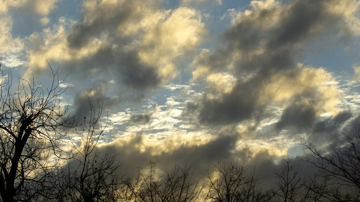 arbustos_nubes72.jpg