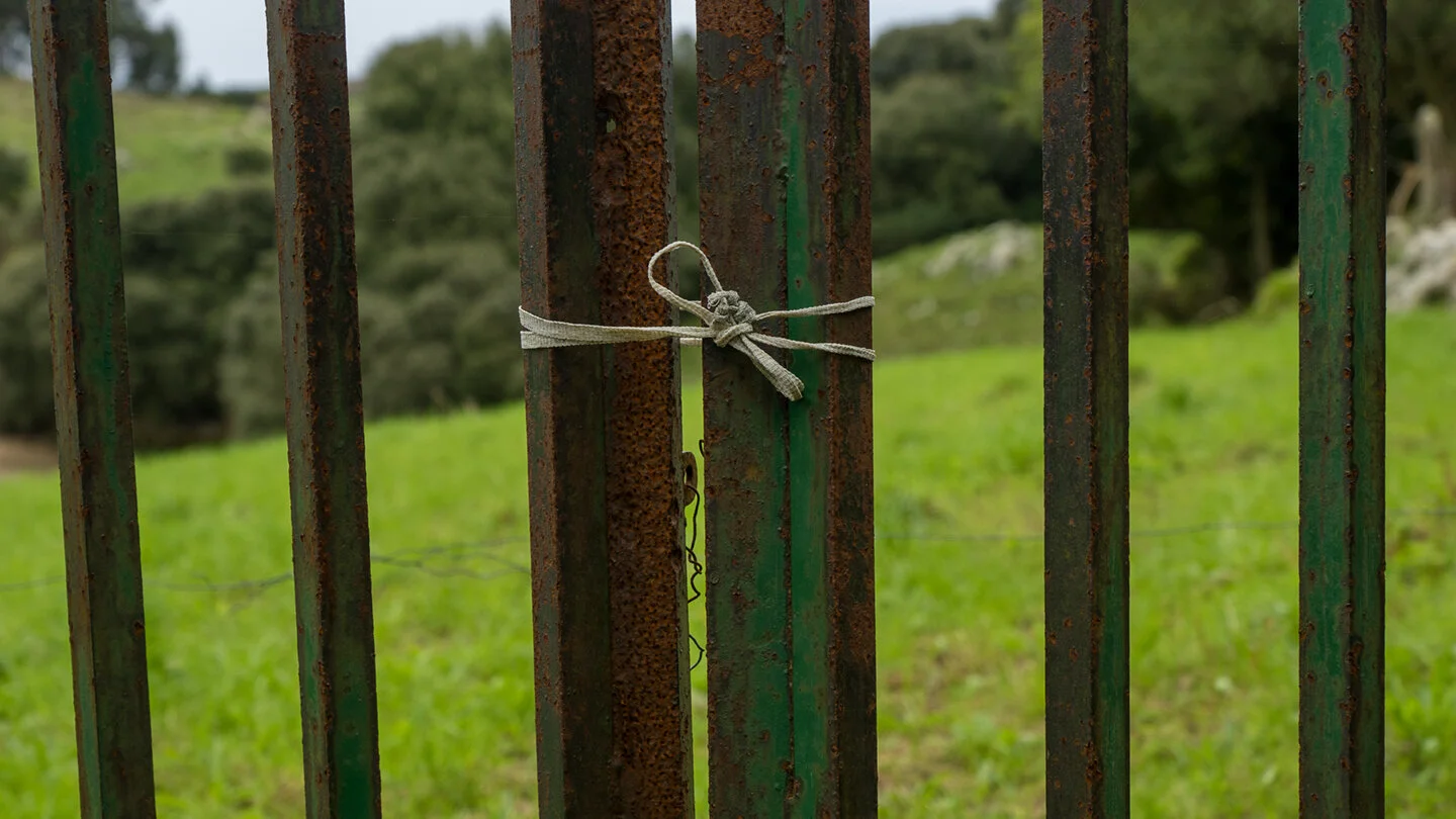 cerrado72.jpg