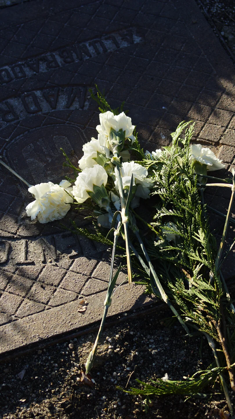 flores_blancas72.jpg