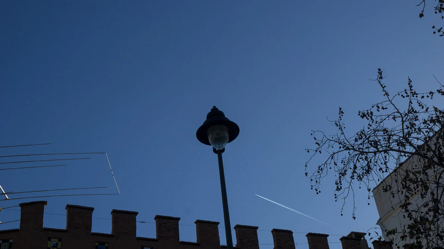 afternoon_light72.jpg