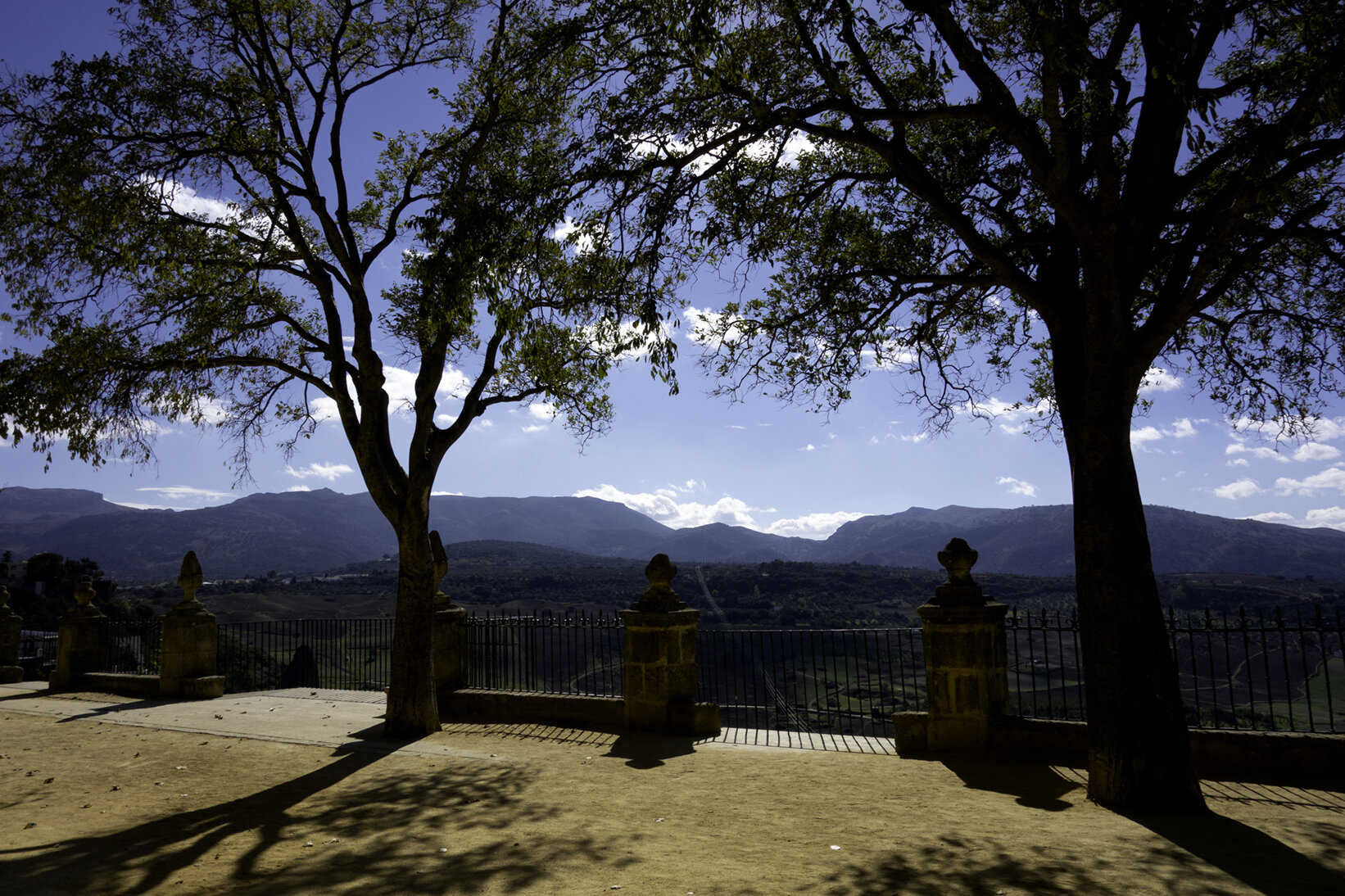 dosArboles_ronda72.jpg