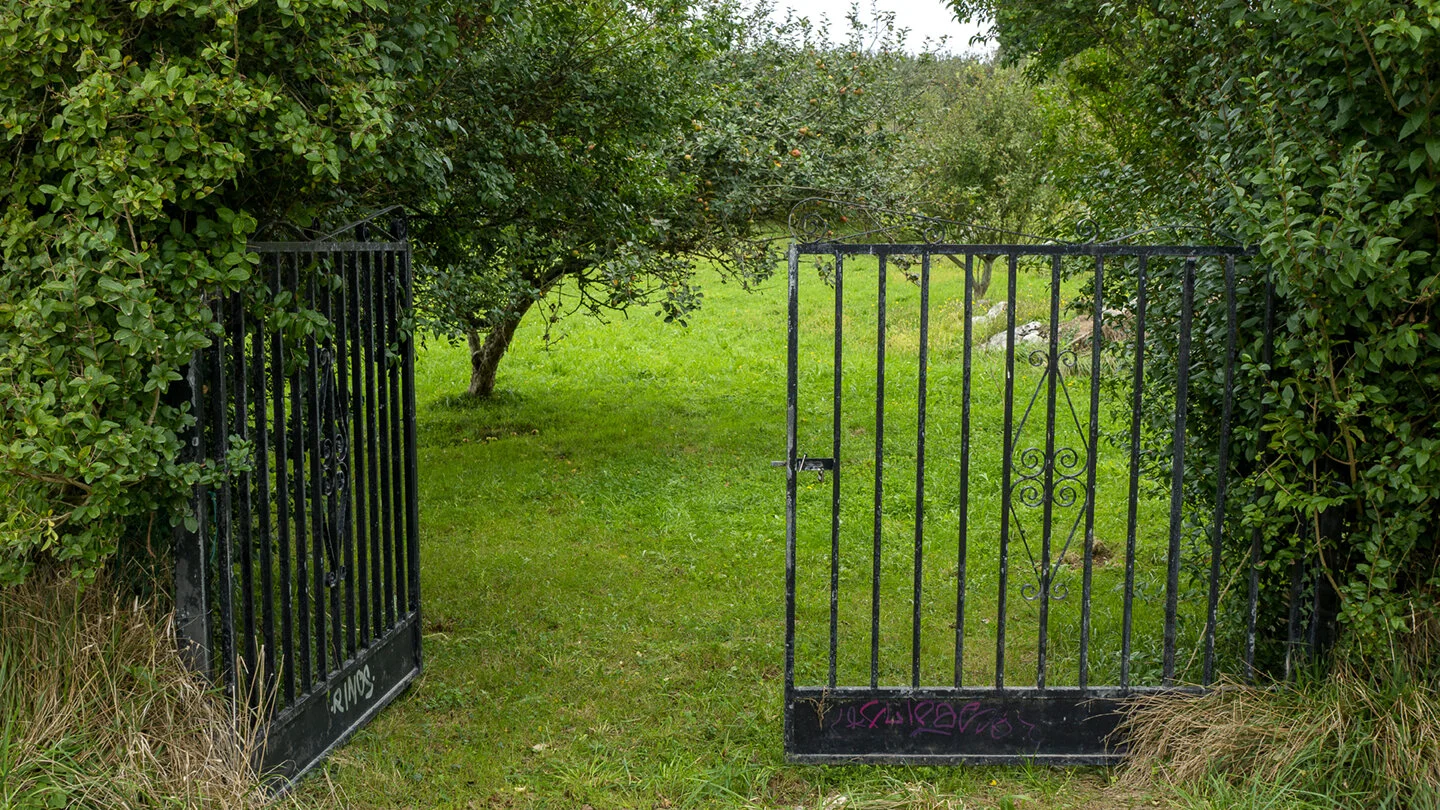 gate_1_72.jpg