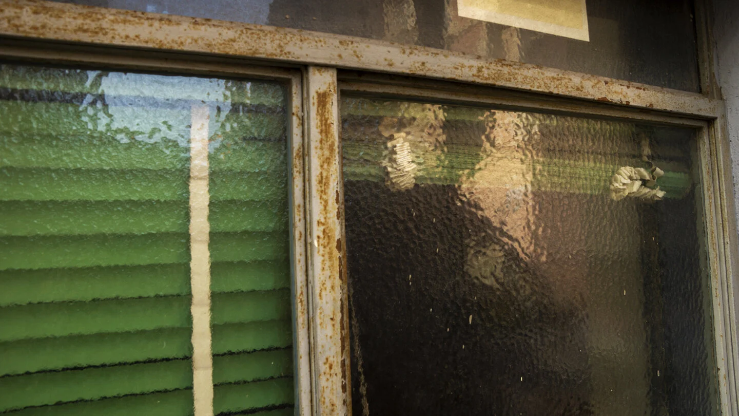 green_blinds72.jpg