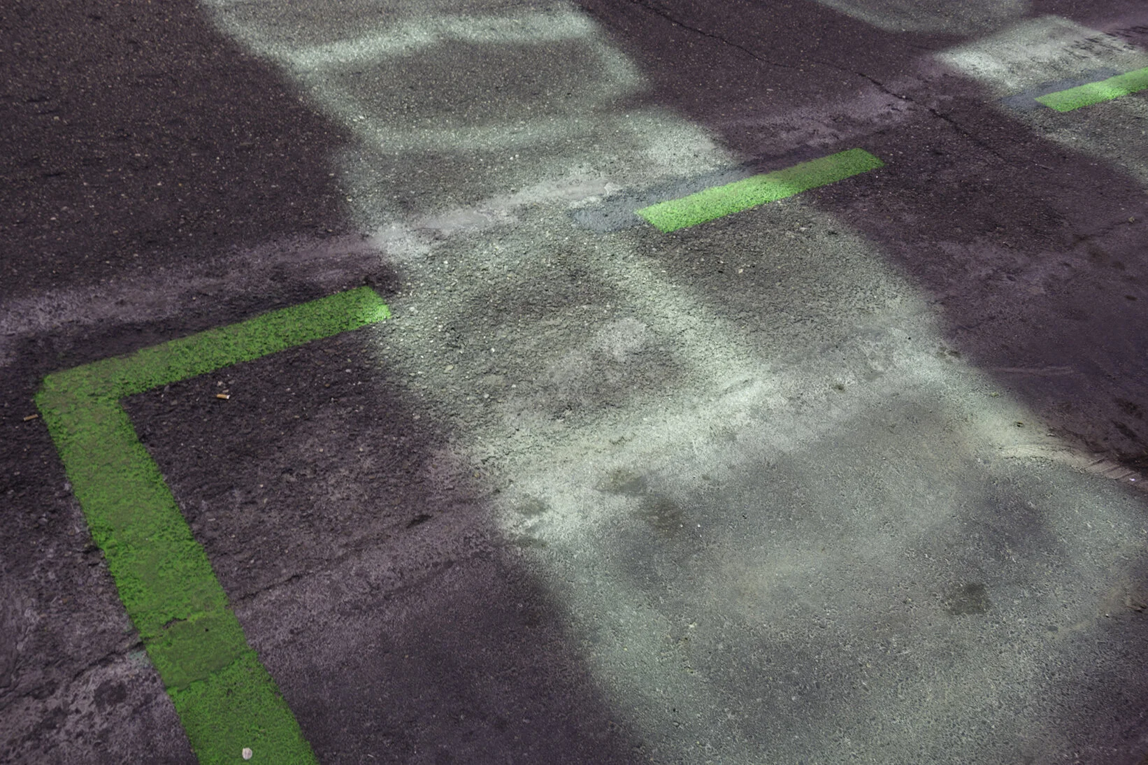 lineas_verdes72.jpg
