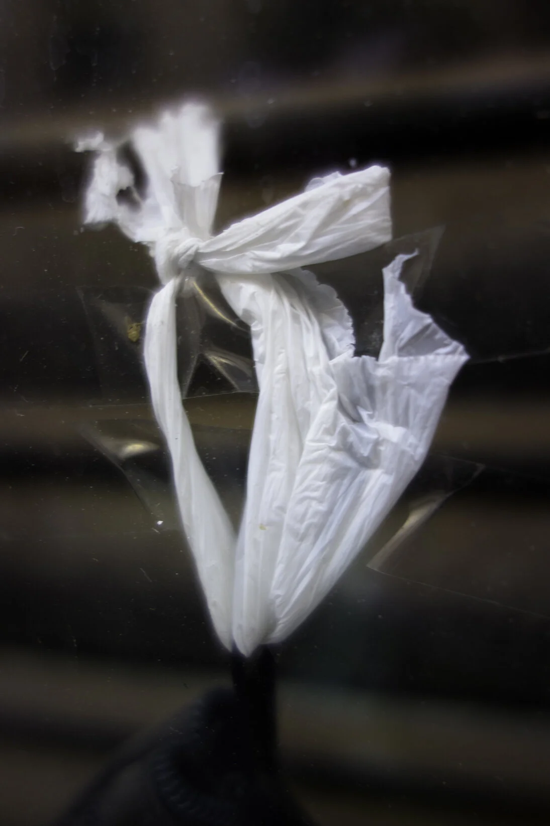 plasticoblanco_lavapies72.jpg