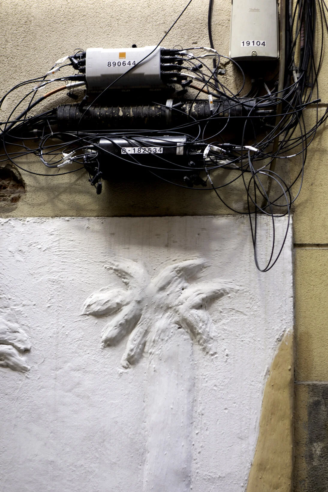 palmera_blanca72.jpg