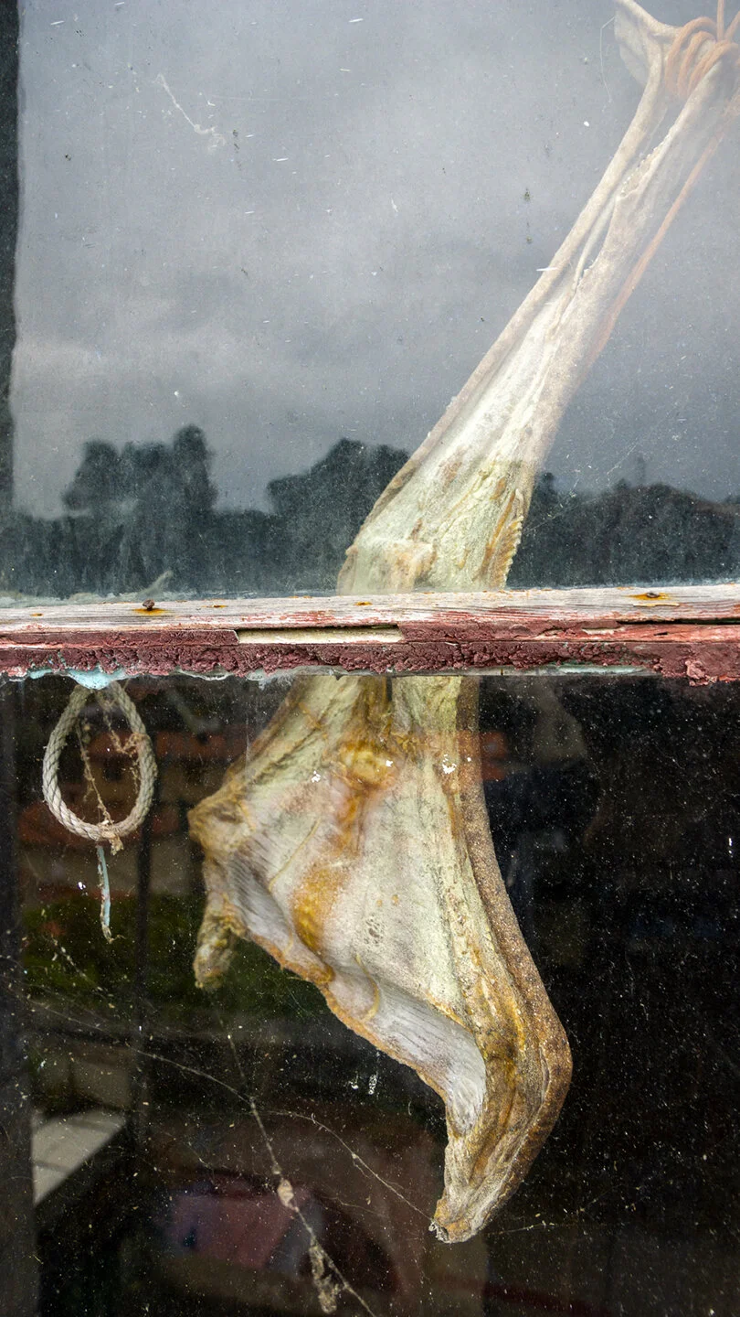 pescado_seco72.jpg