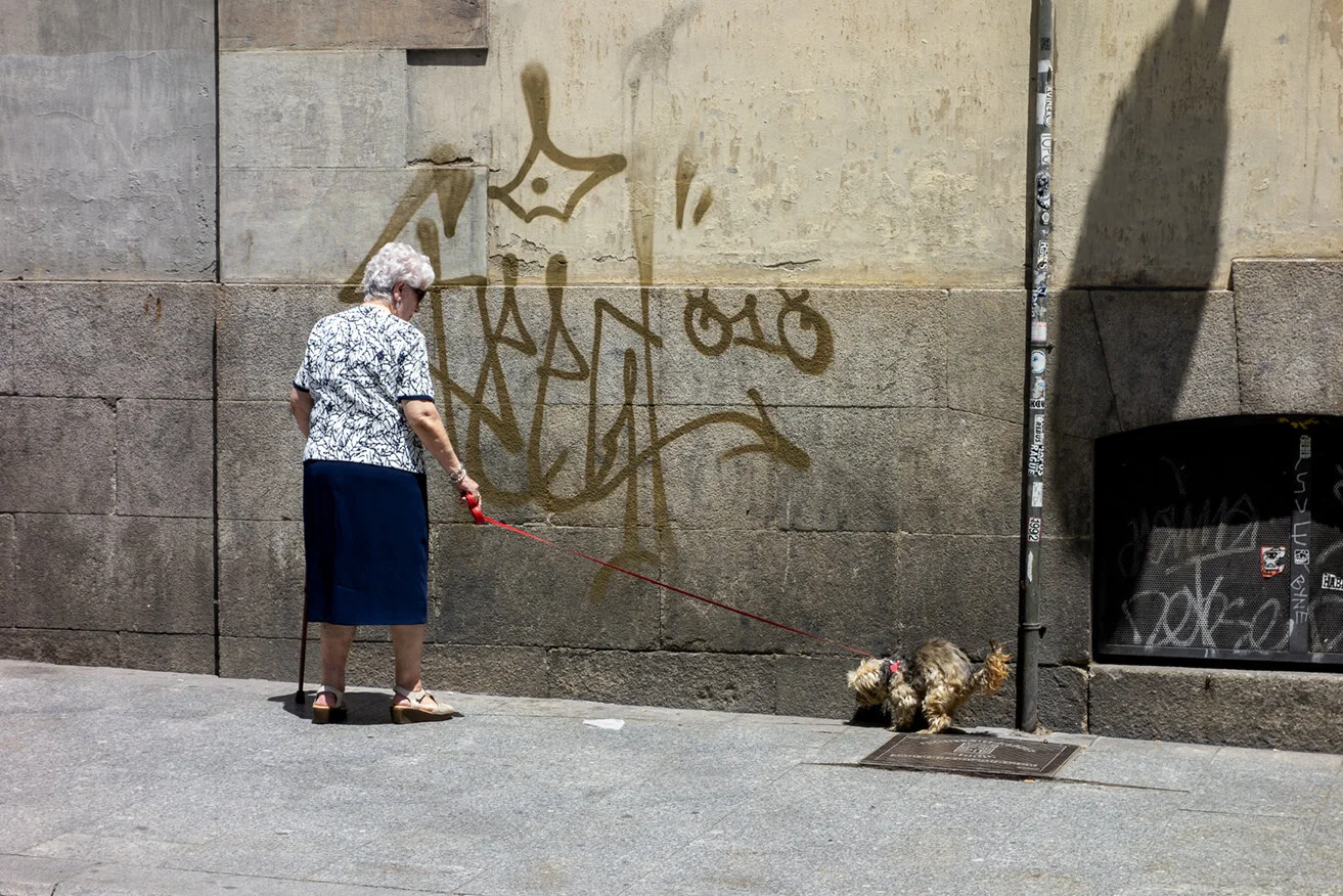 perrito_cagando1711_72.jpg