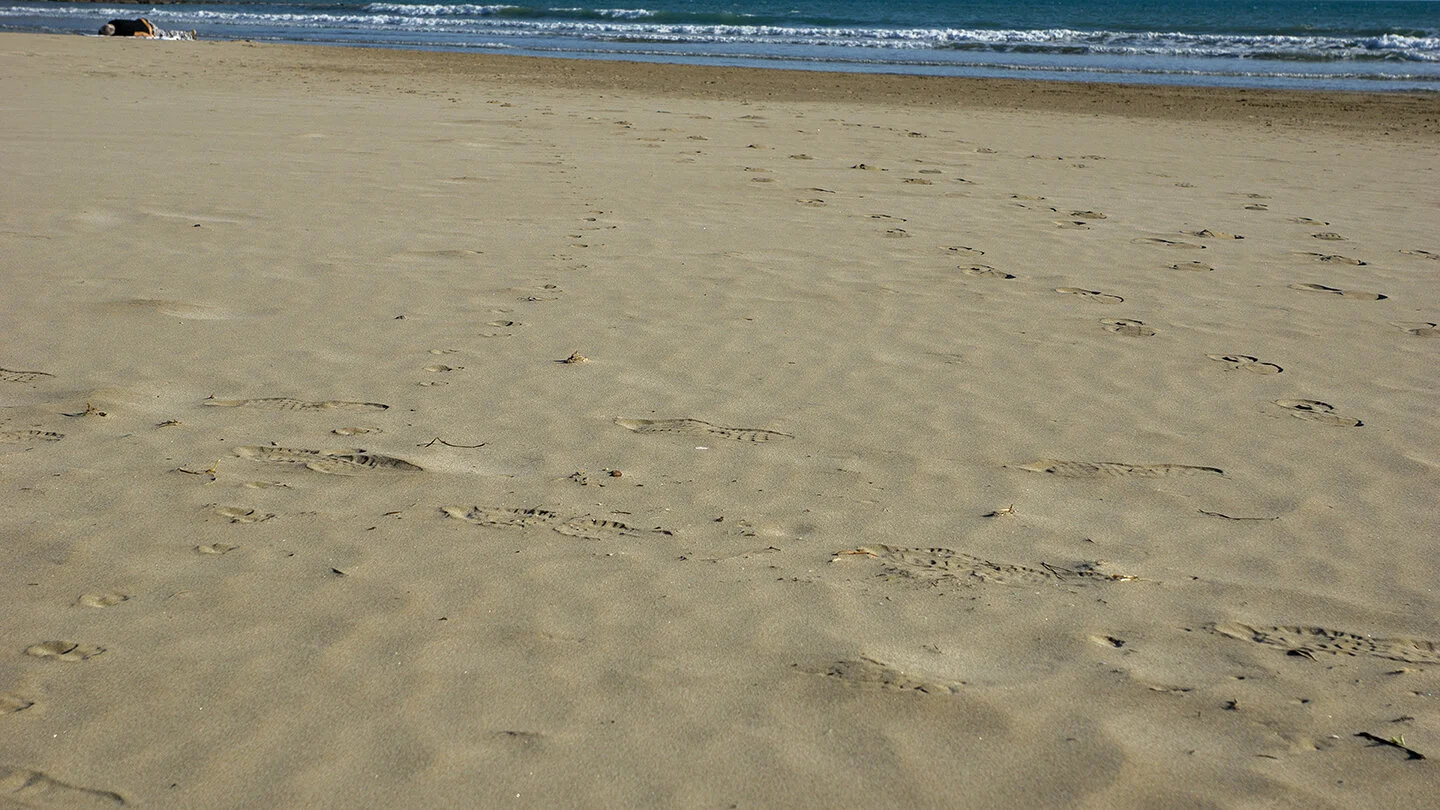 siesta_playa72.jpg