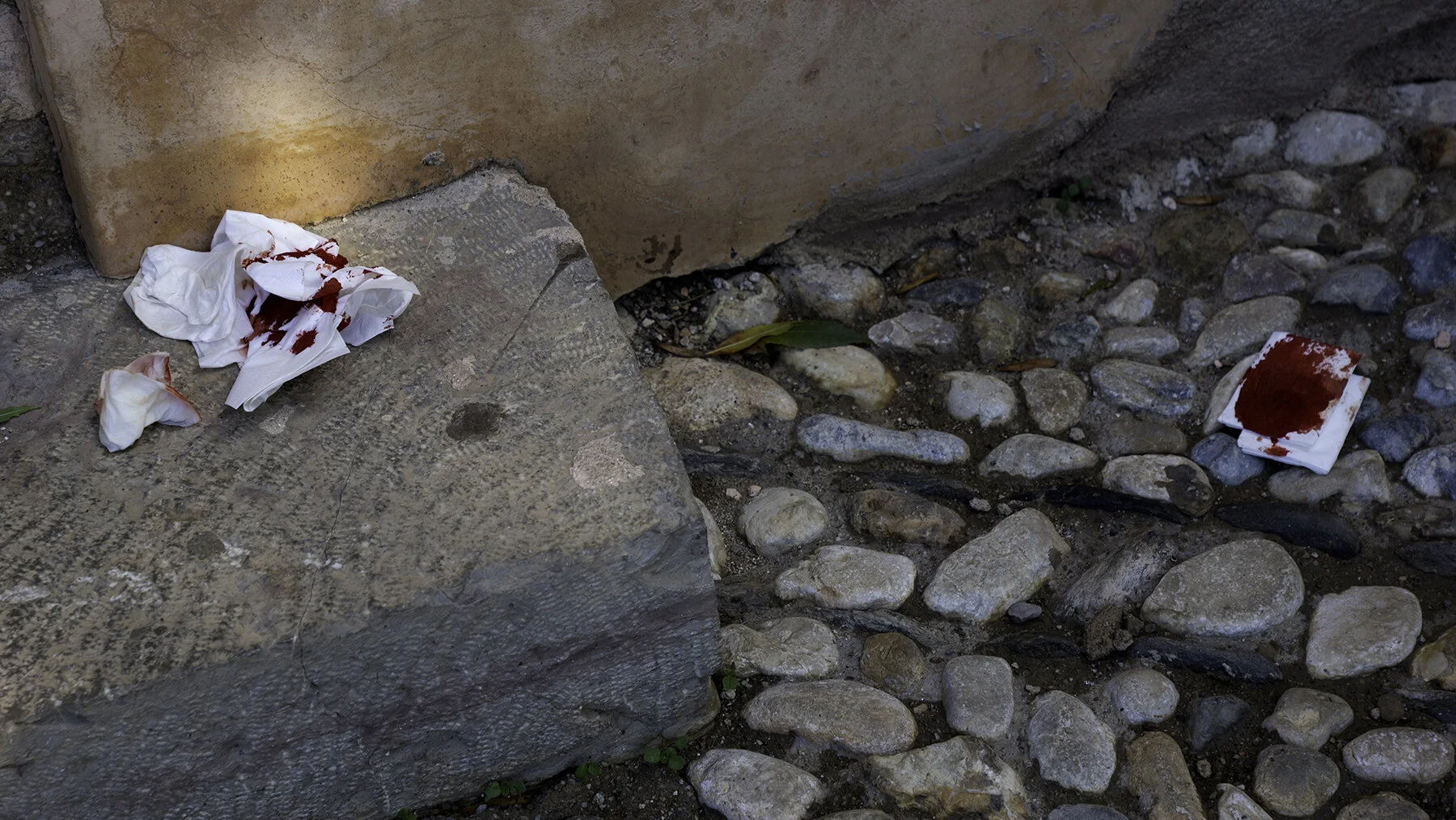 sangre_granada72.jpg