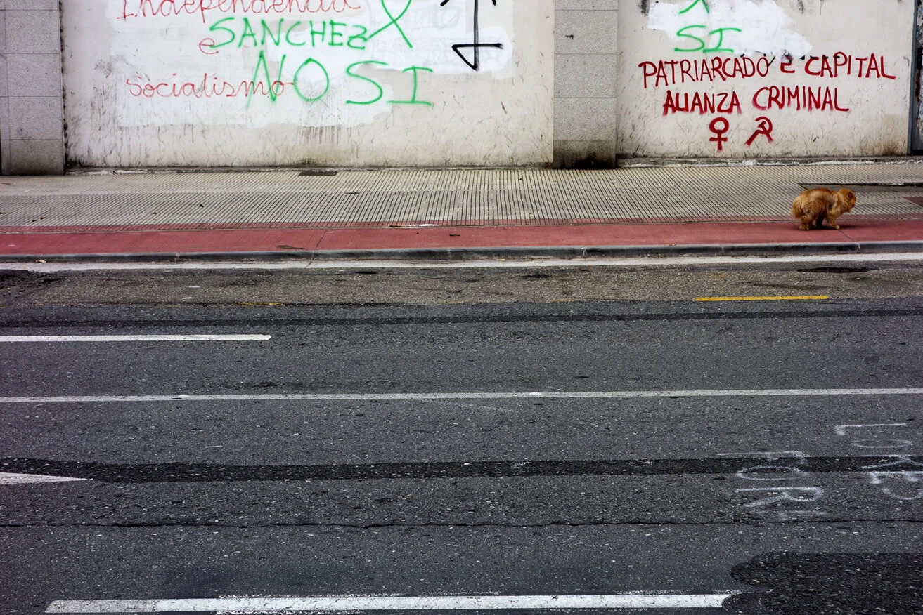 perro_graffitti72.jpg