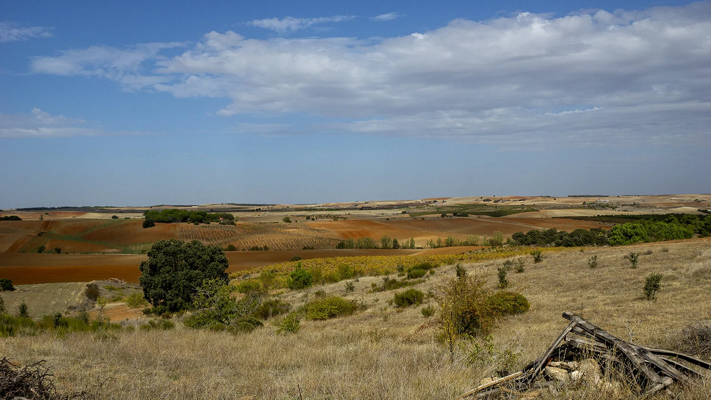 tierras_juanjo72.jpg