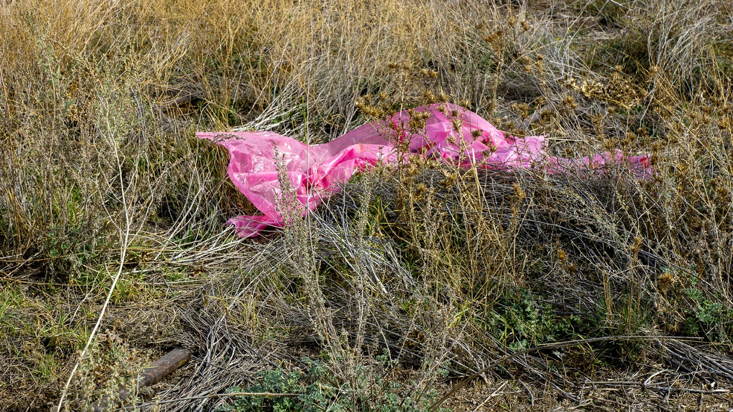 pink_plastic72.jpg