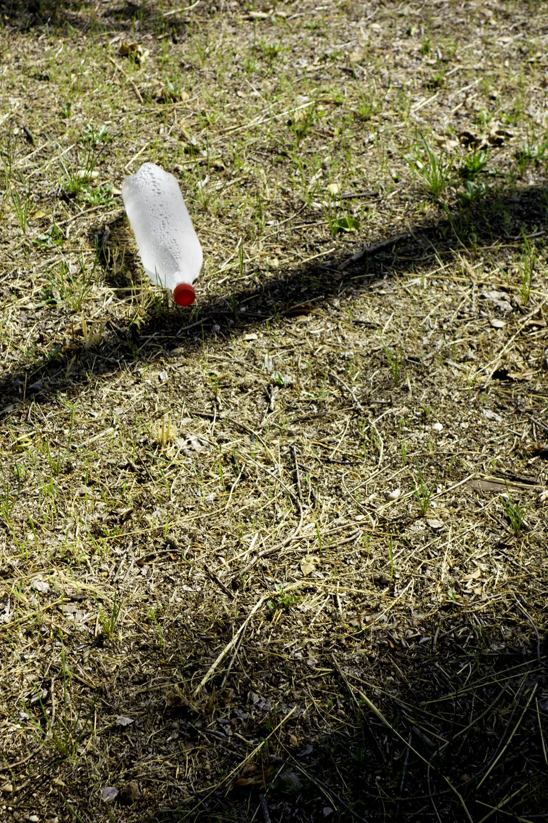 waterbottle_redcap72.jpg