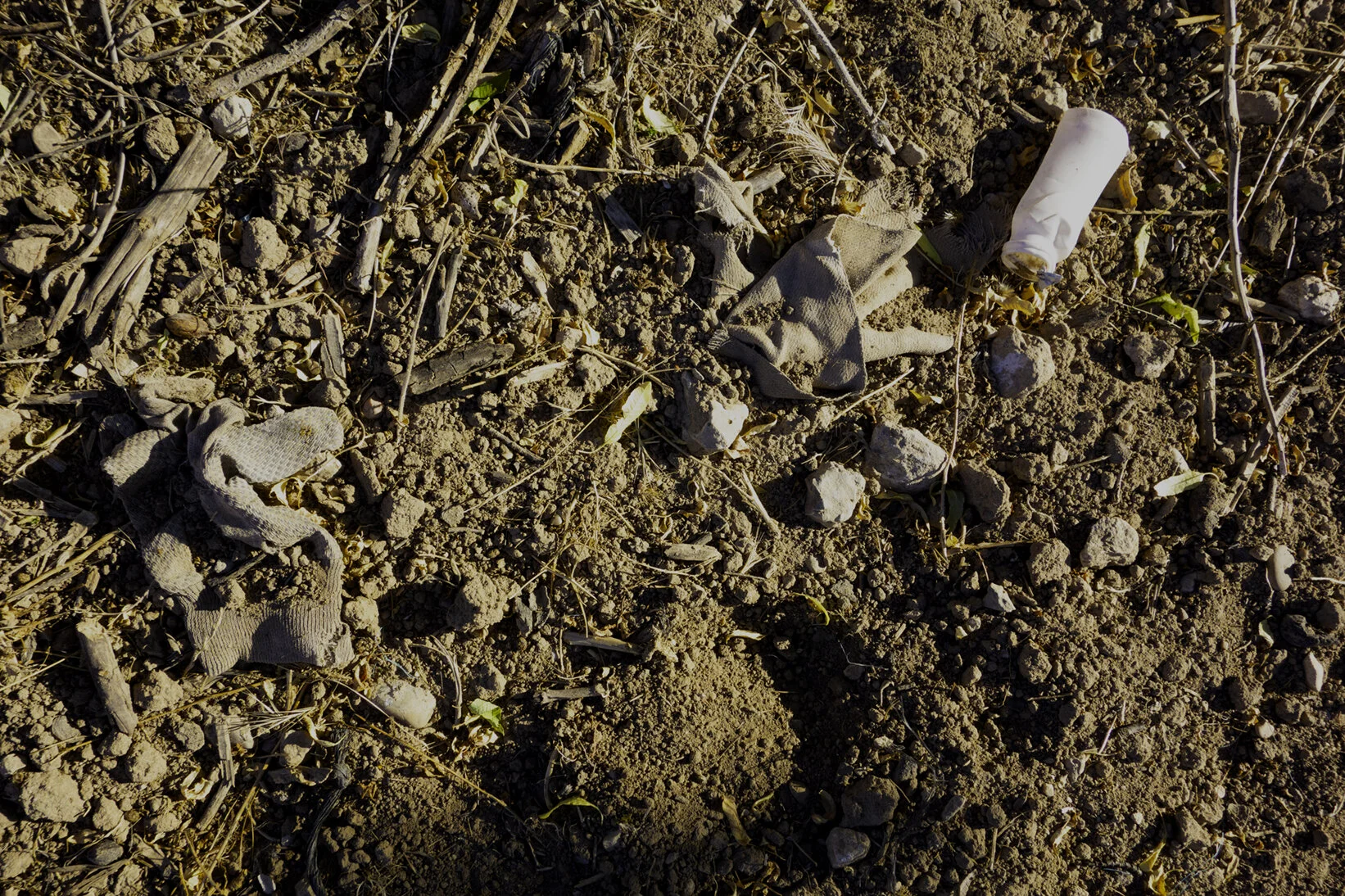 whitebottle_dirt72.jpg