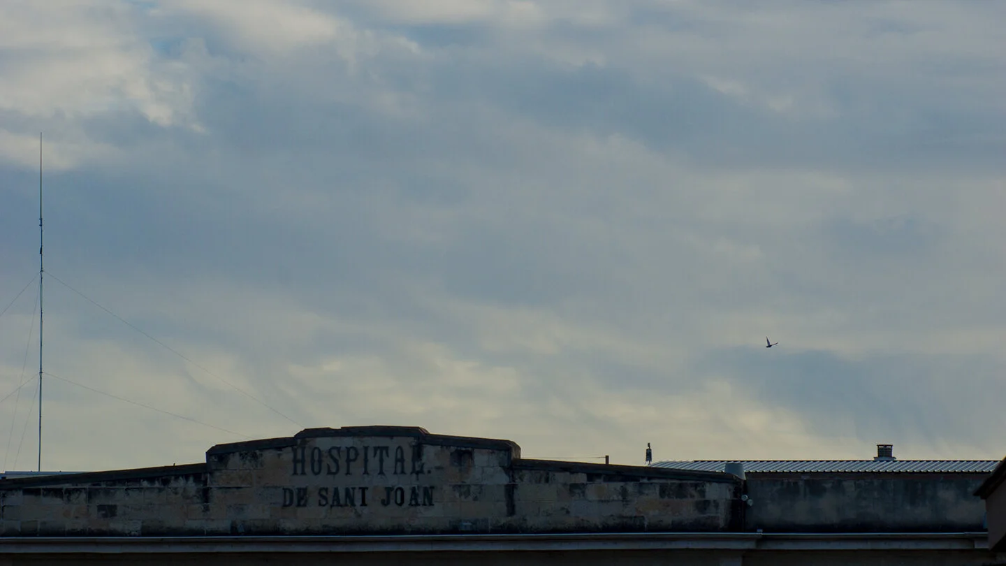 hospital_deSJ_bird72E.jpg