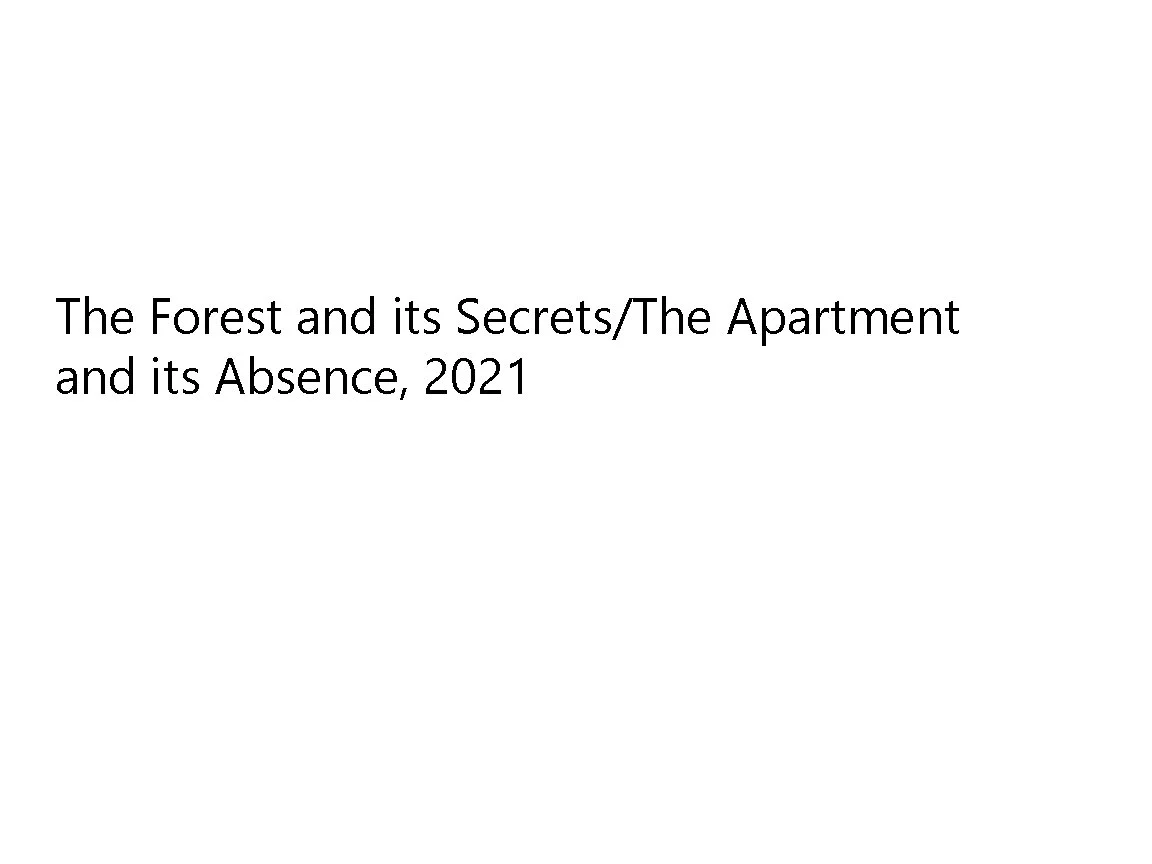 the_forest.jpg