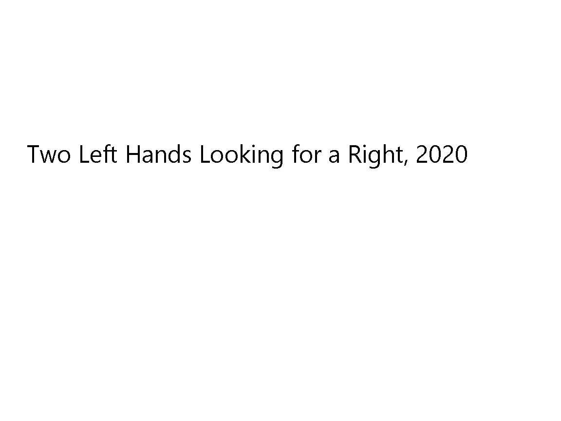 two_left_hands.jpg