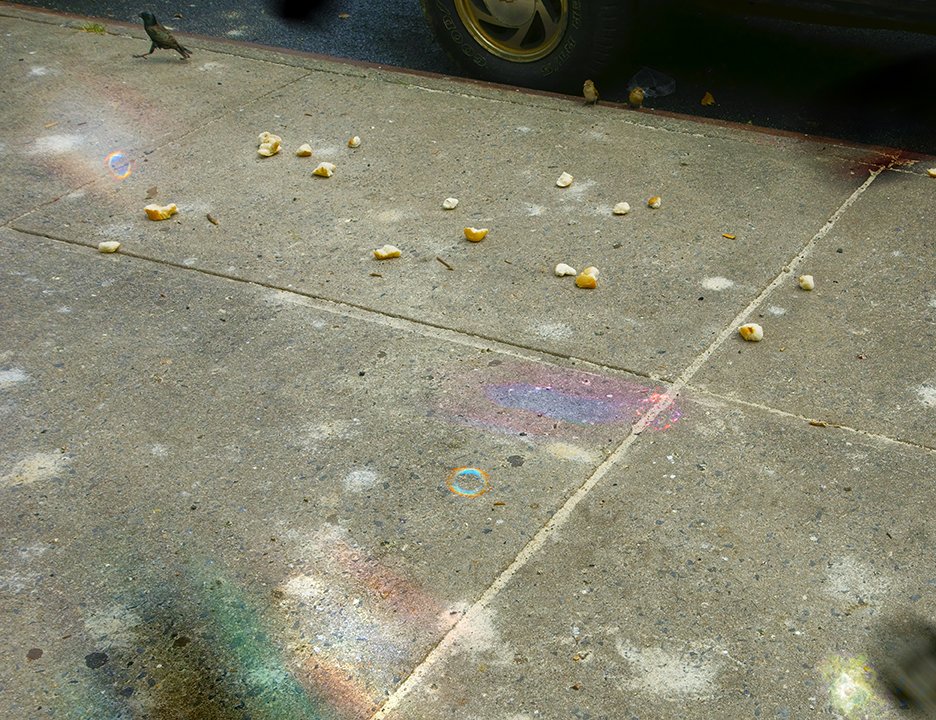 sidewalk_birds_finalFlat_final72.jpg