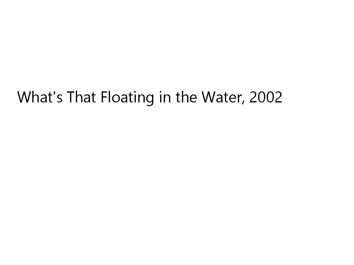 whats_that_floating.jpg