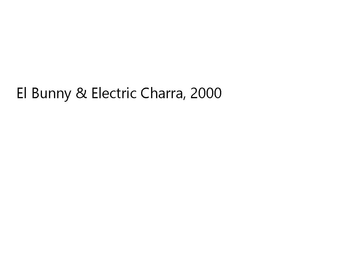 el_bunny.jpg