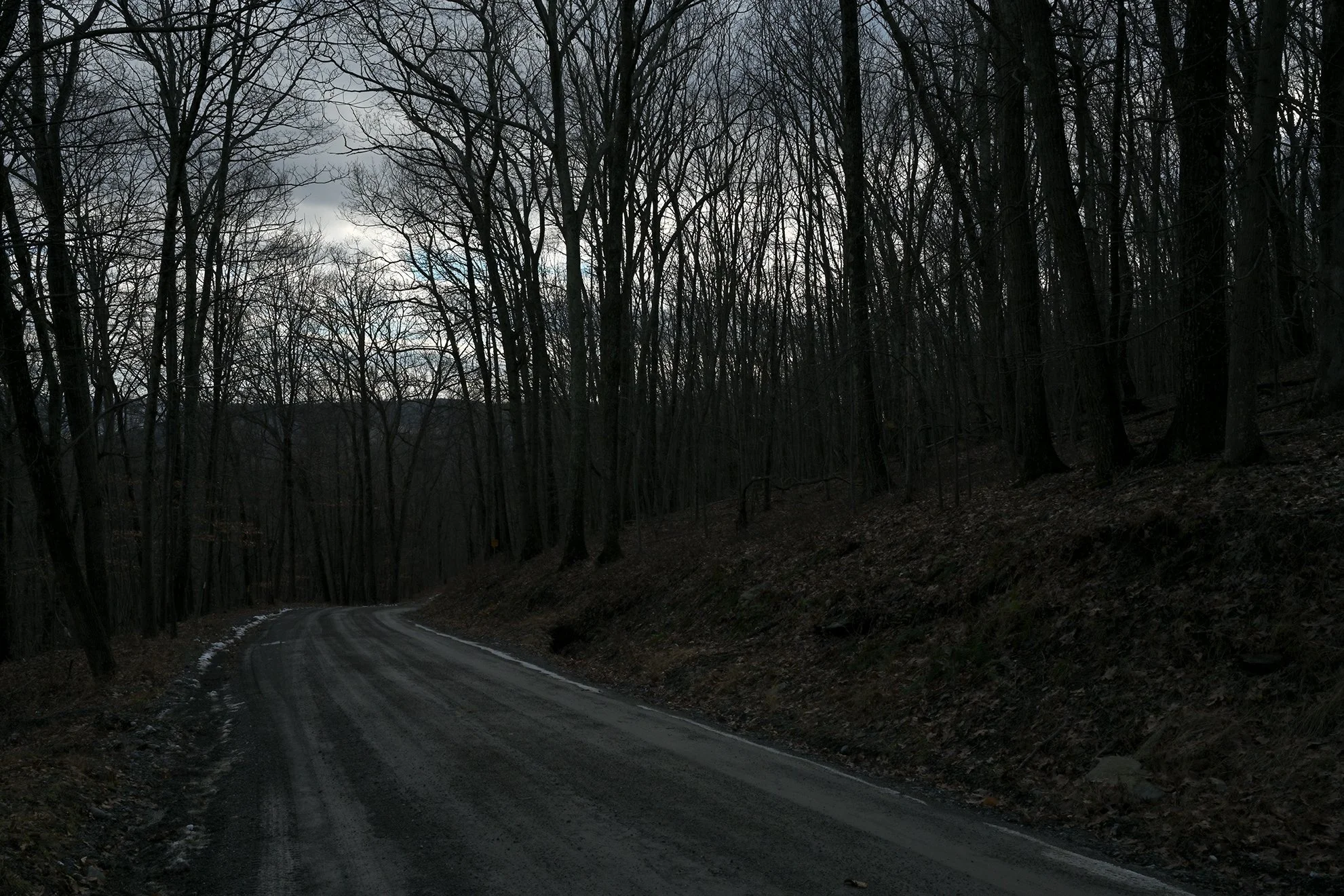 forest_roadF72.jpg