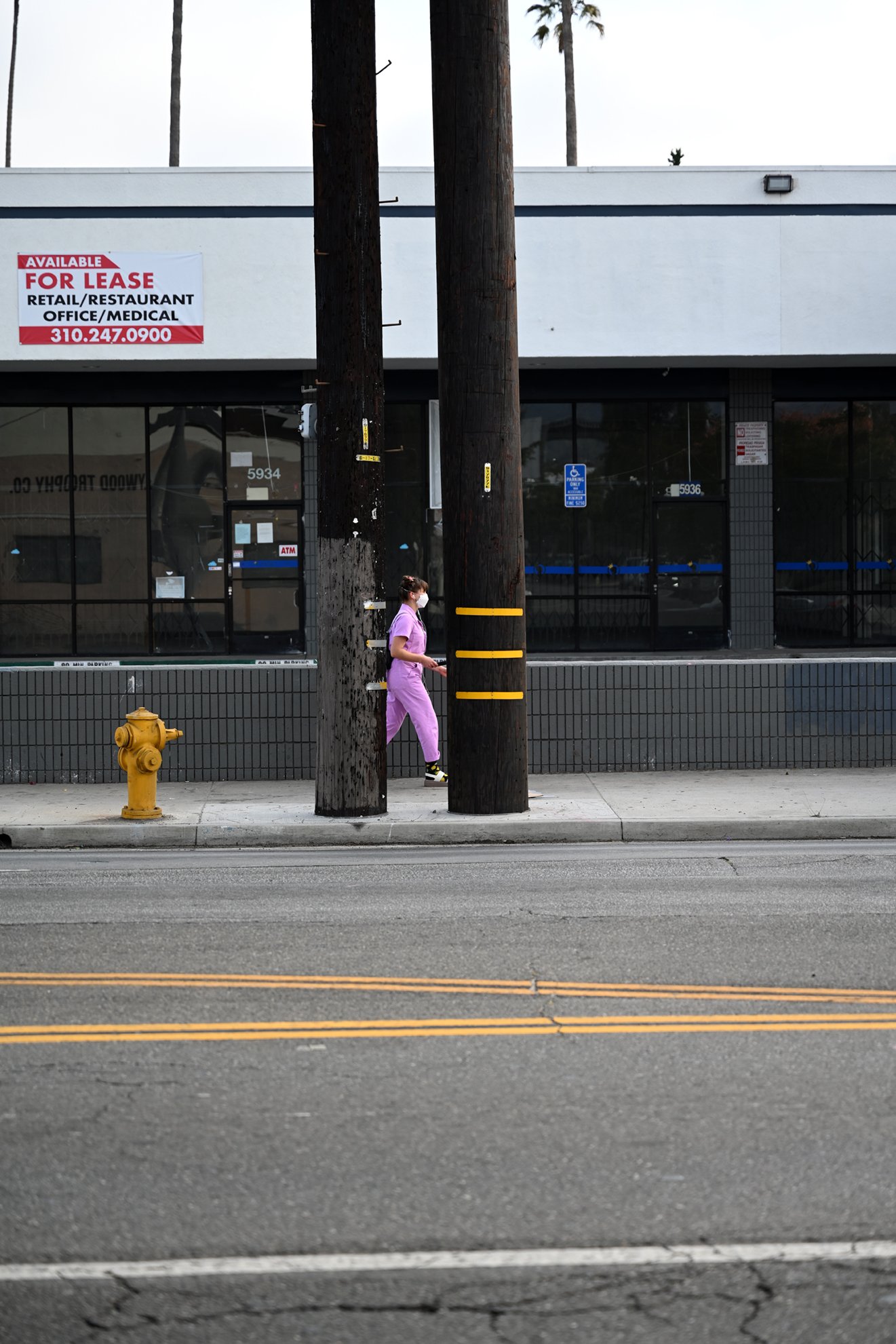 pink_walking_1553F72.jpg