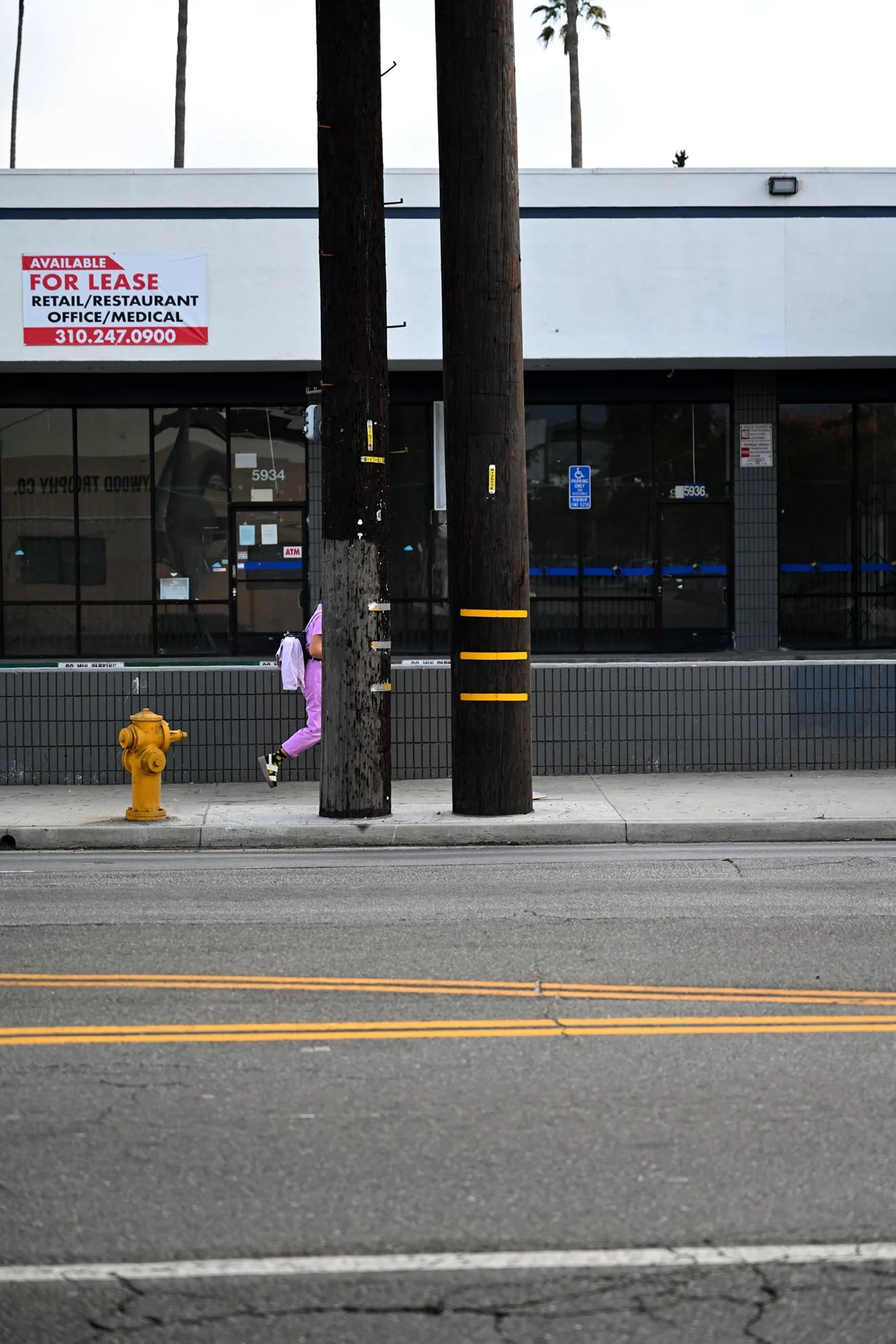 pink_walking_before_1554F72.jpg