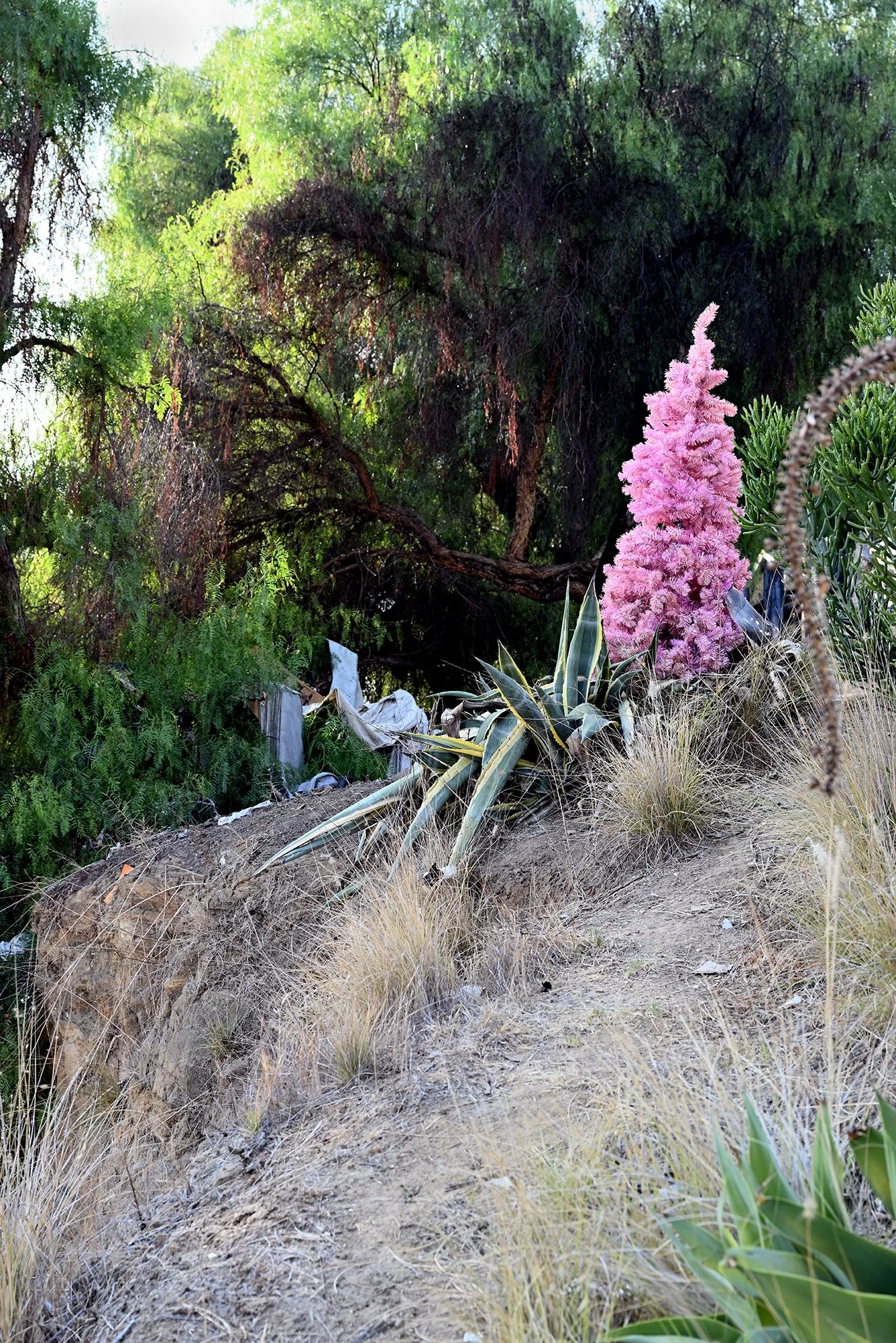 pink_xmas_1F.jpg