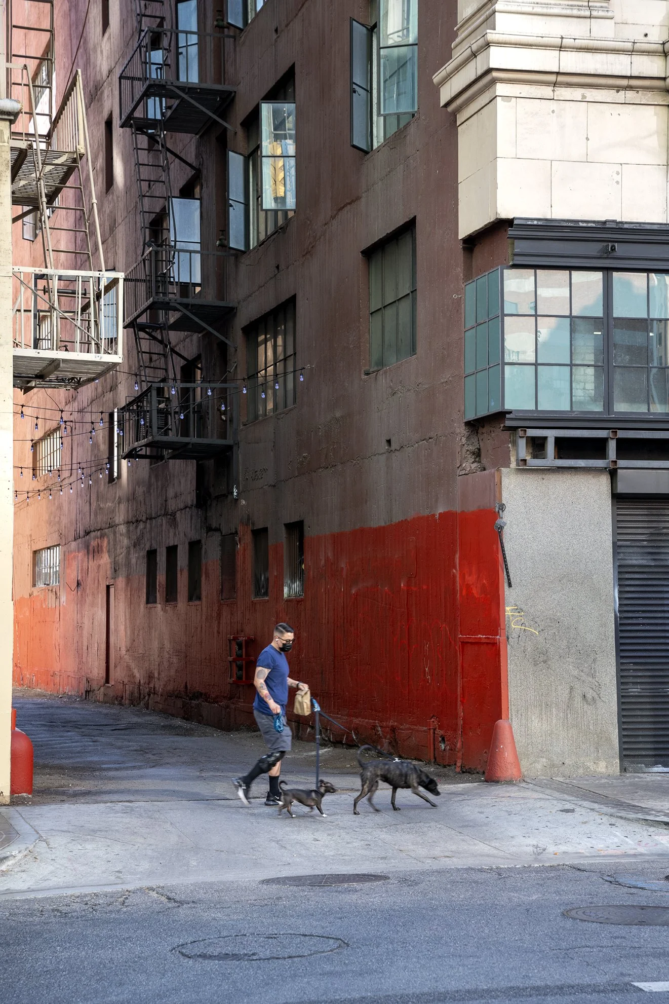 redAlley_dogWalkerF72.jpg