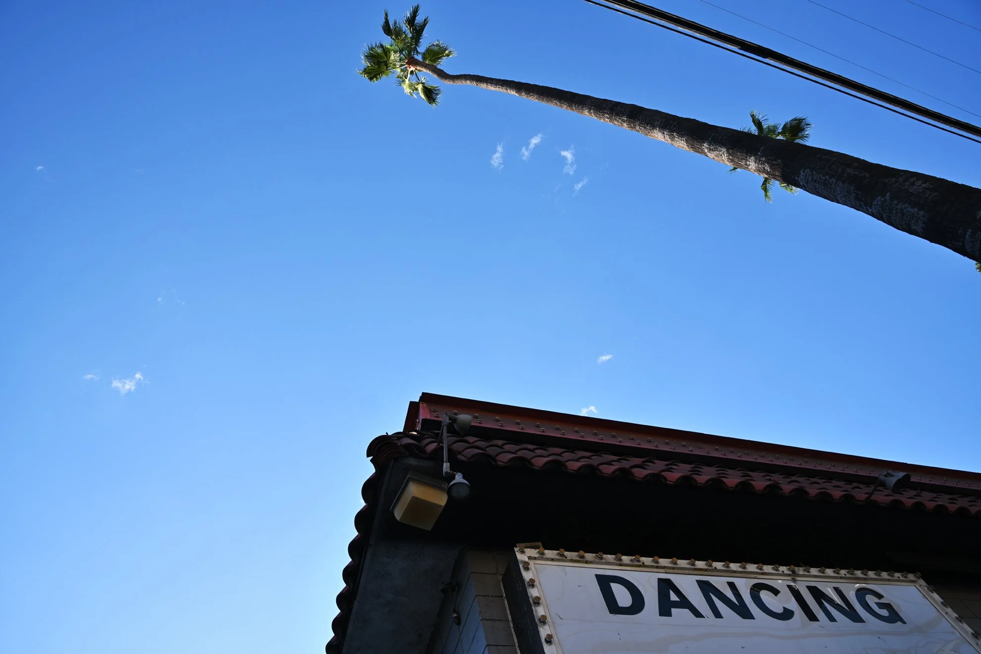 dancing_184F72.jpg