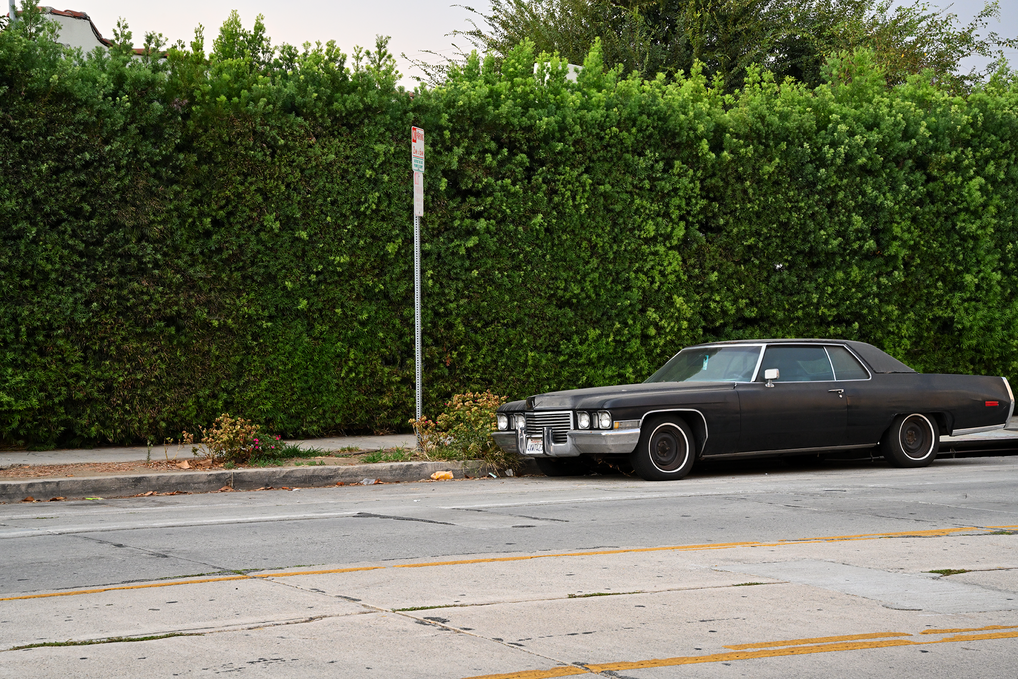 blk_cadillac_1253F72.png