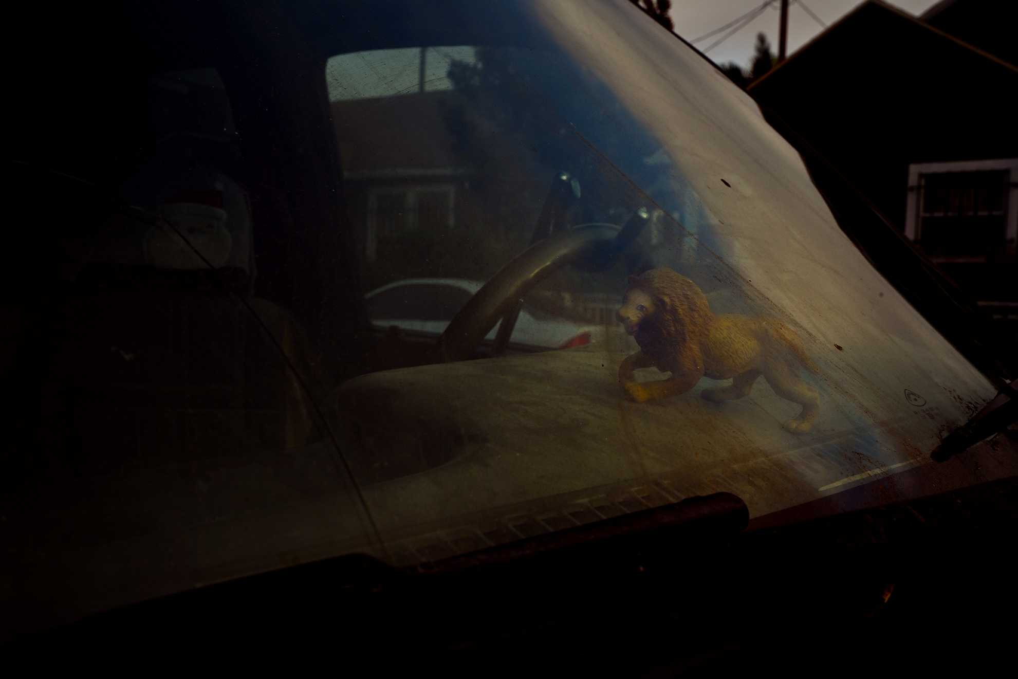 dashboard_lionReal_1F72.png