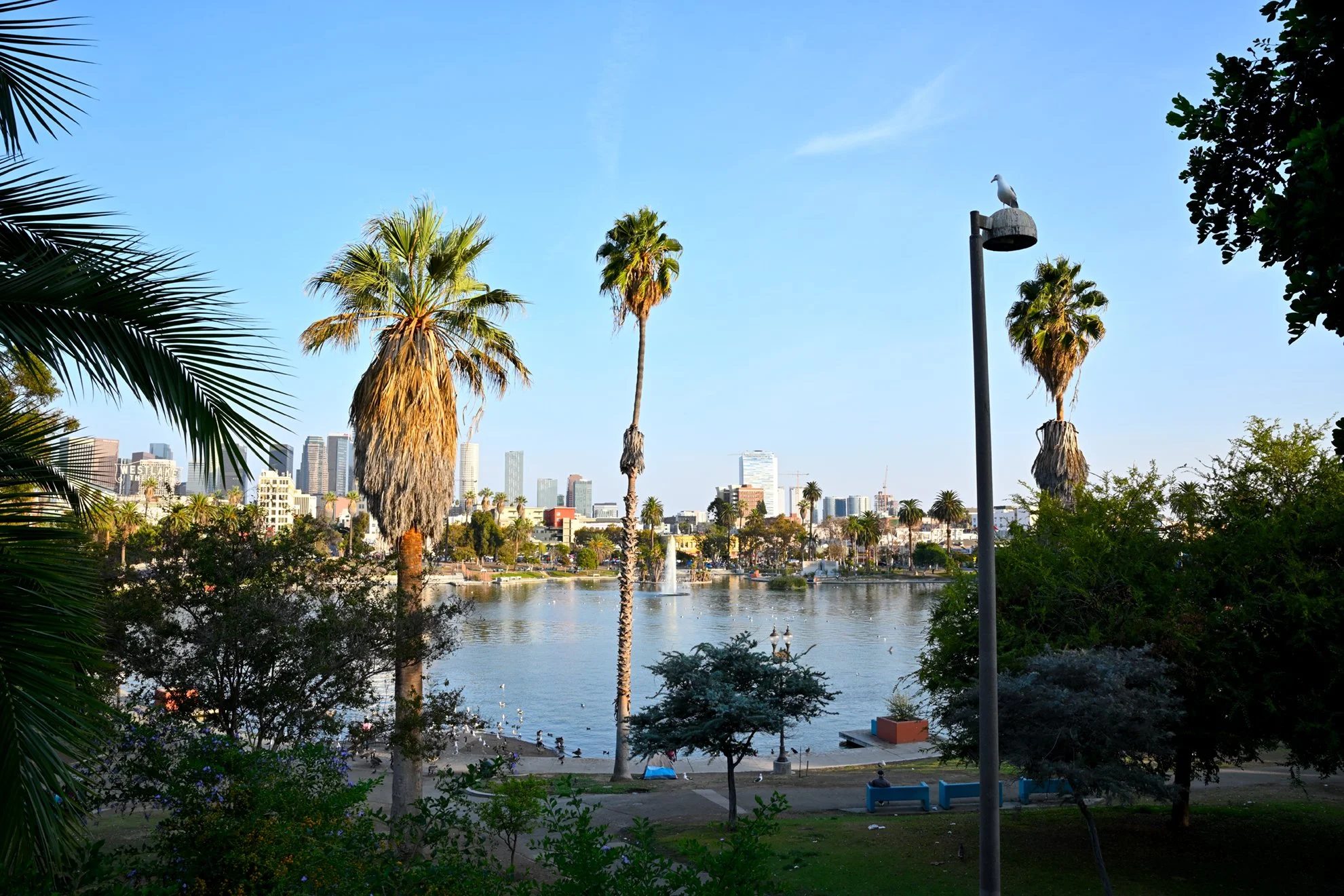 MacArthurParkF72.jpg