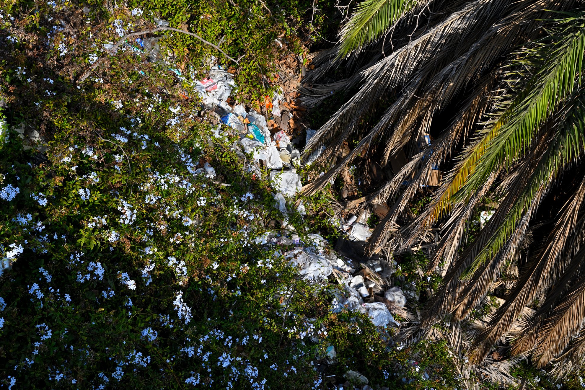 trash_flowersF72.jpg