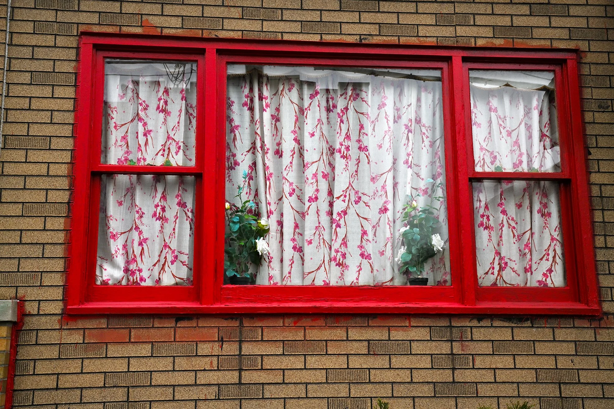 red_window_aF72.jpg