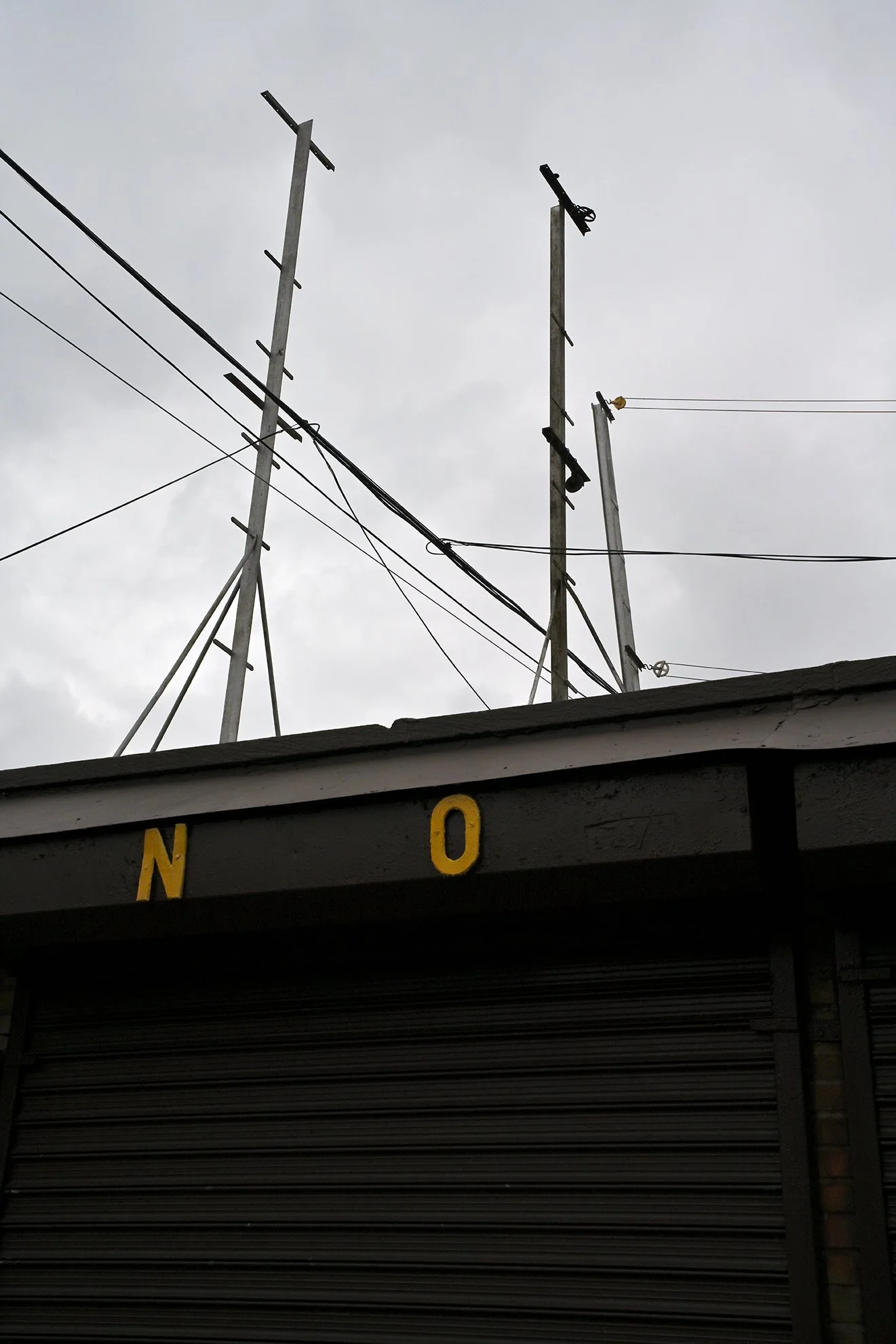 NO_yellowF72.jpg