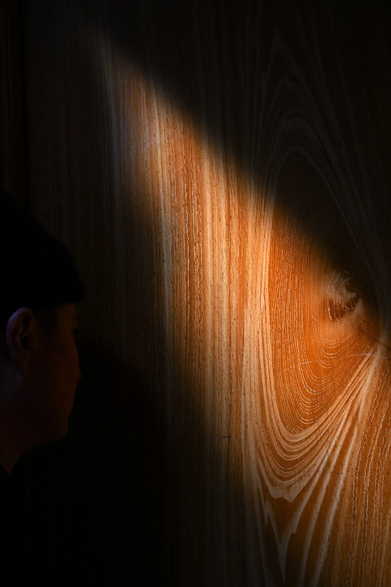 listening_to_wood_1F72.jpg