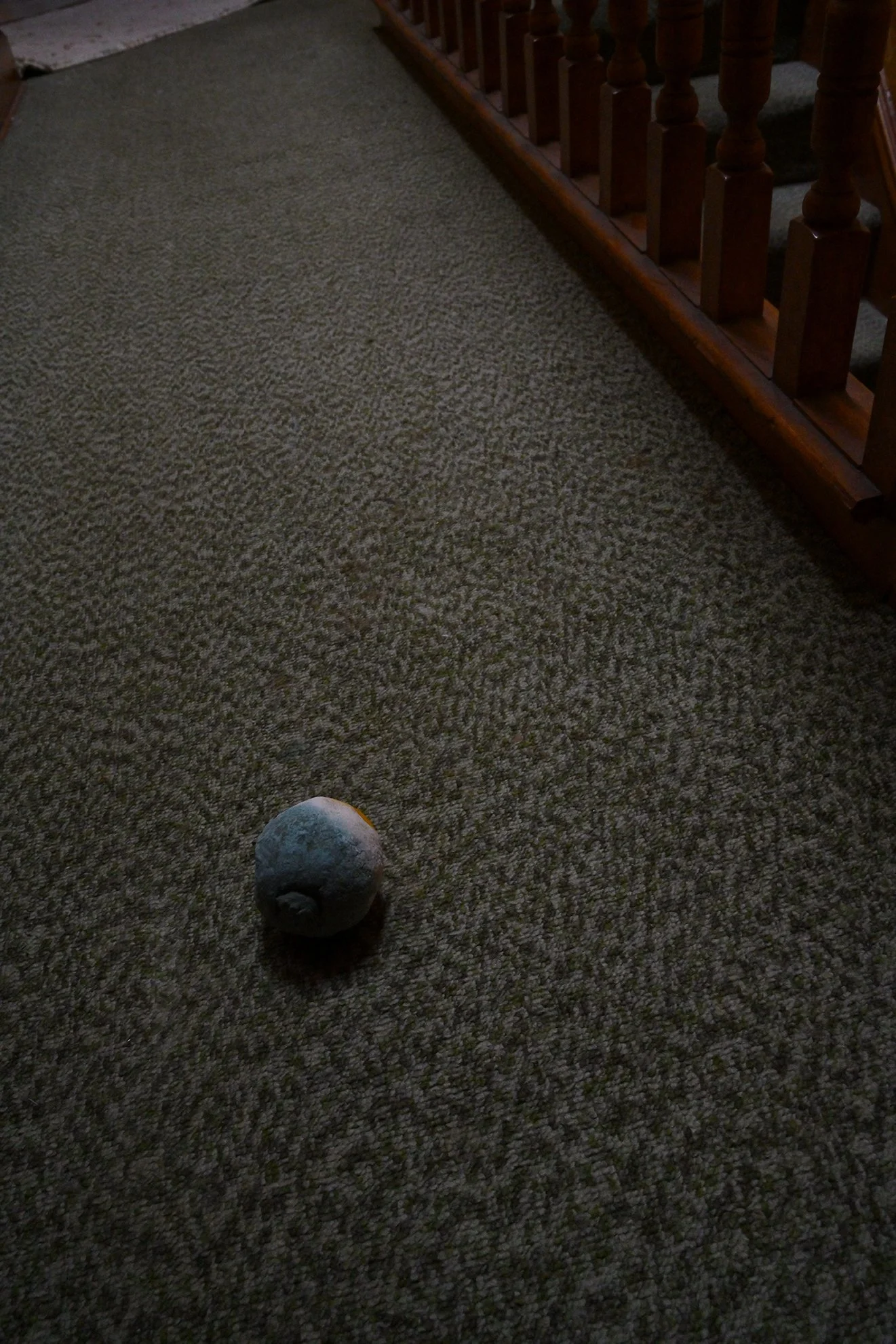lemon_carpetF72.jpg