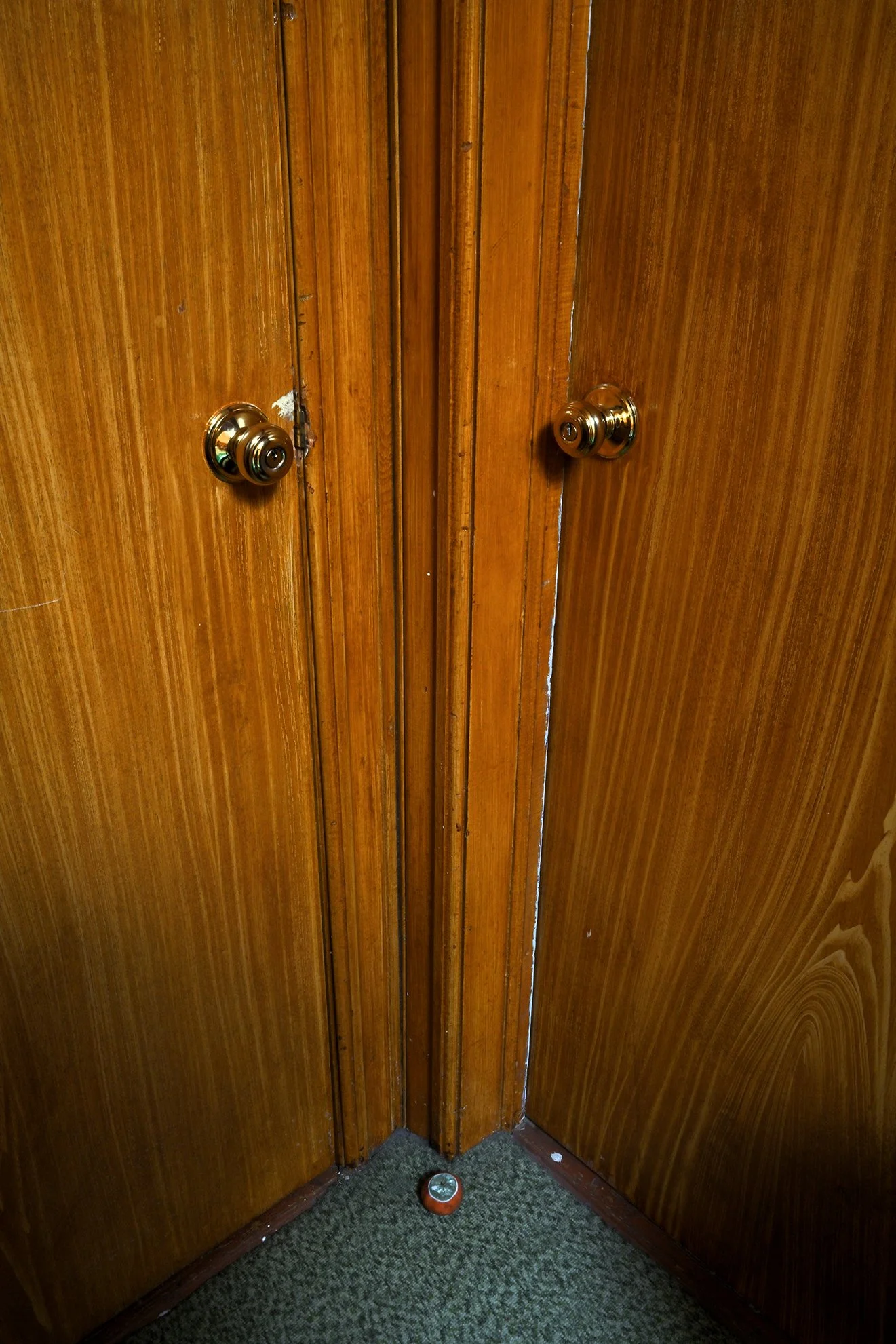 2doors_1orangeF72.jpg