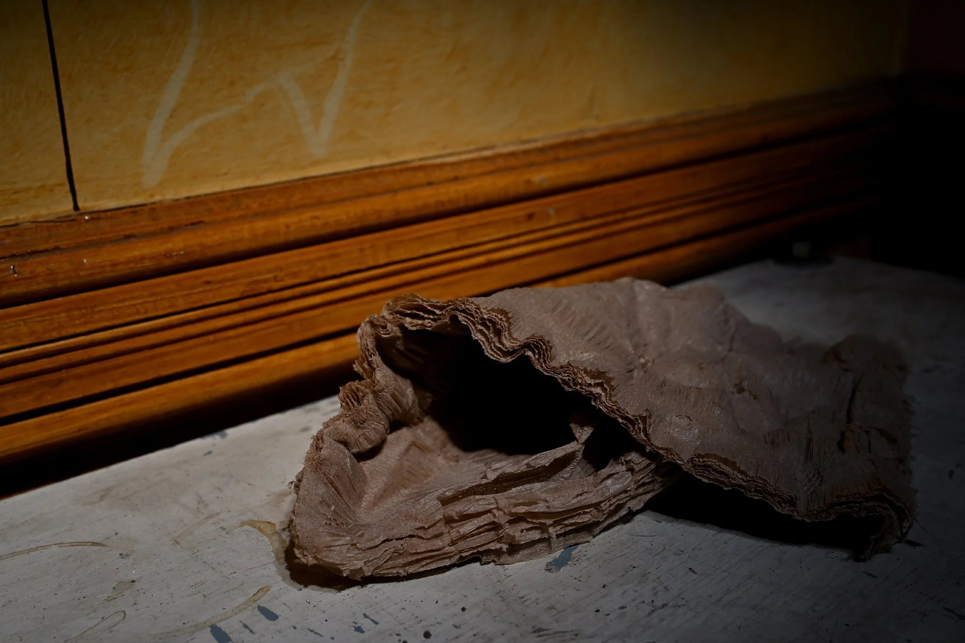 papel_1F72.jpg