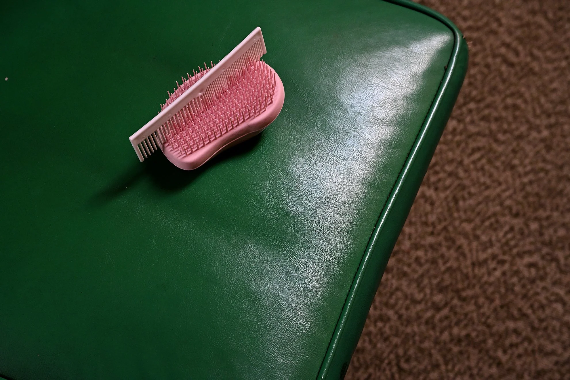 pinkcomb_a_1F72.jpg