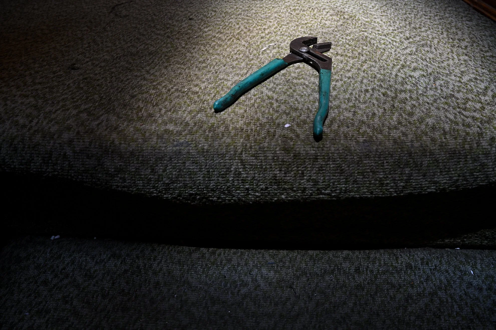 pinsas_azules_1F72.jpg