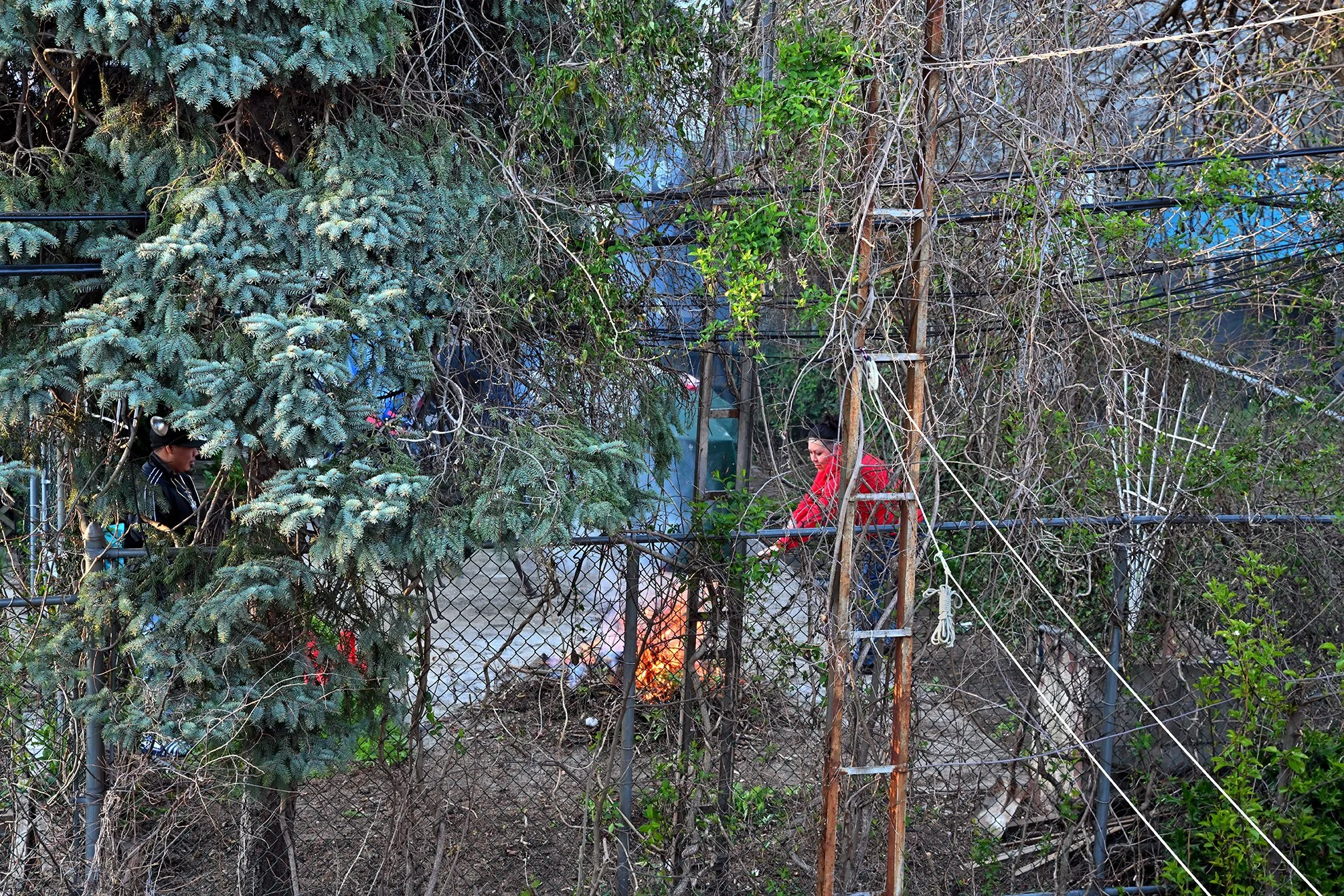 fire_backyard_a_1F72.jpg