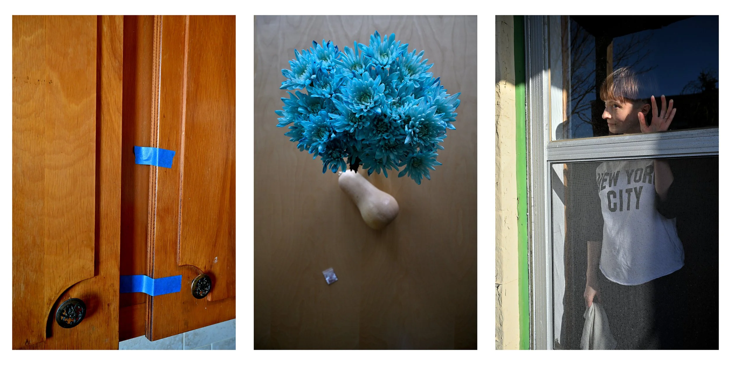blue_flowers_pumpkin_coca_F72.jpg
