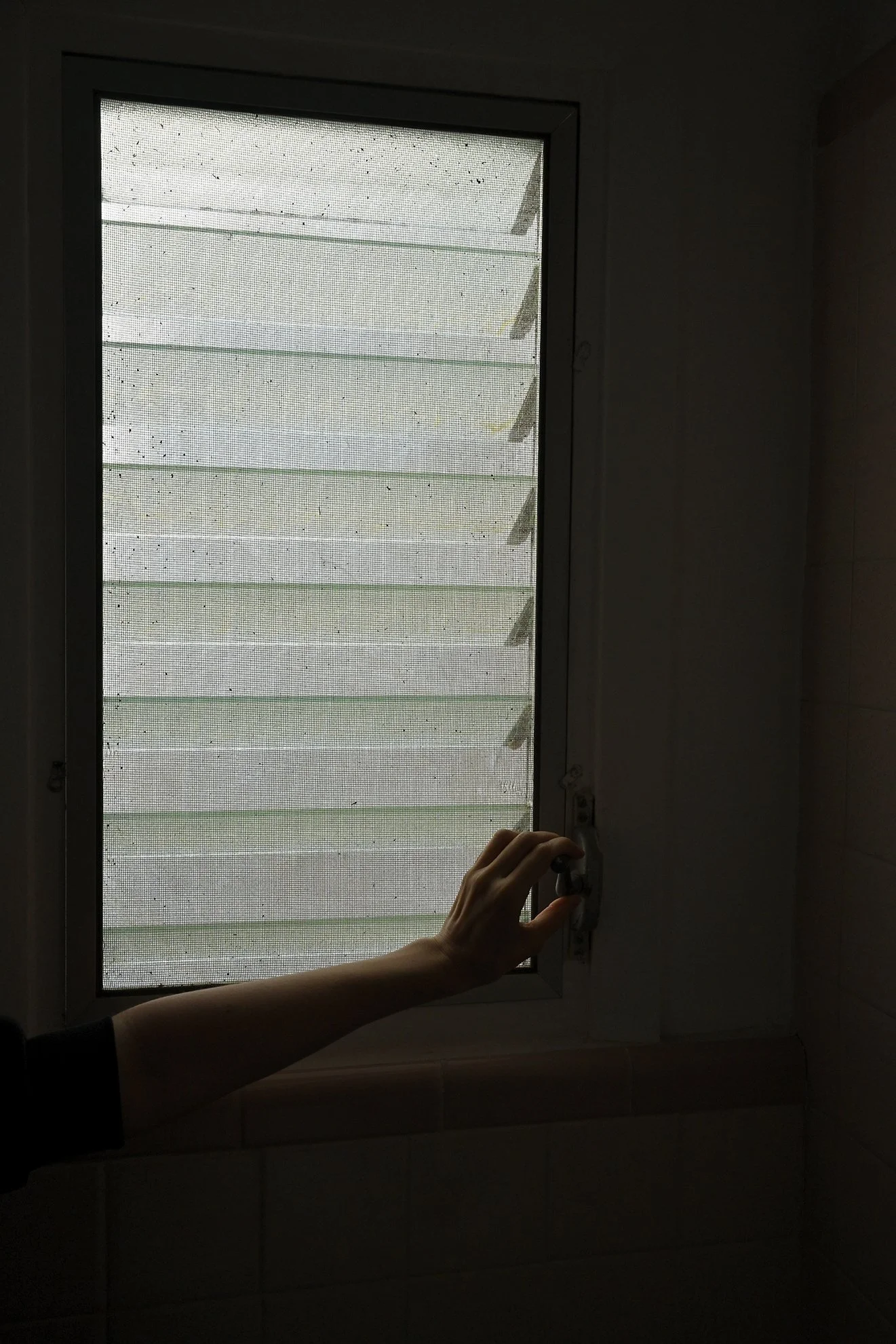 bathroom_window_noshadow_1F72.jpg