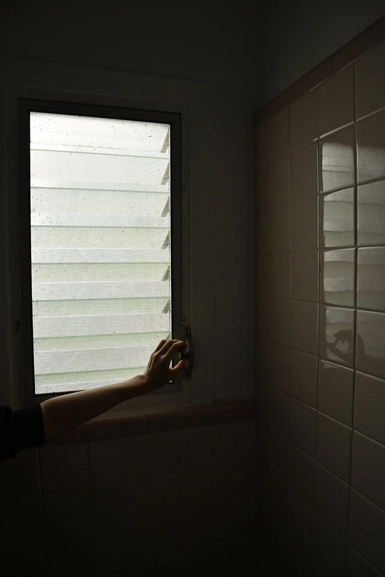 bathroom_window_1F72.jpg