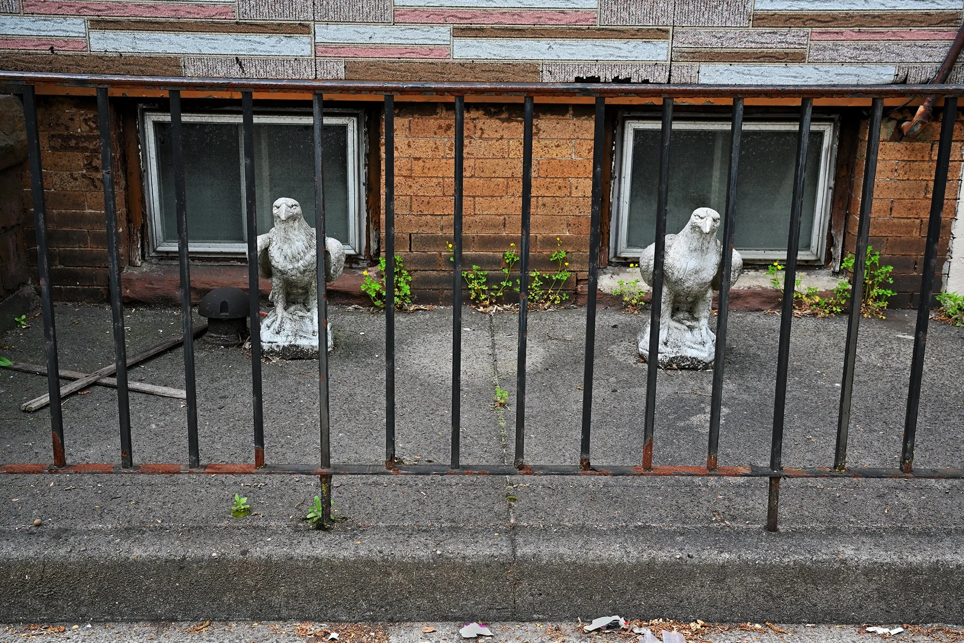 two_eagles_1F72.jpg