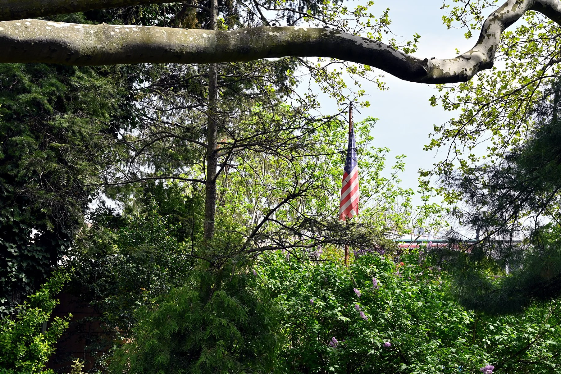 American_gardenFlagF72.jpg