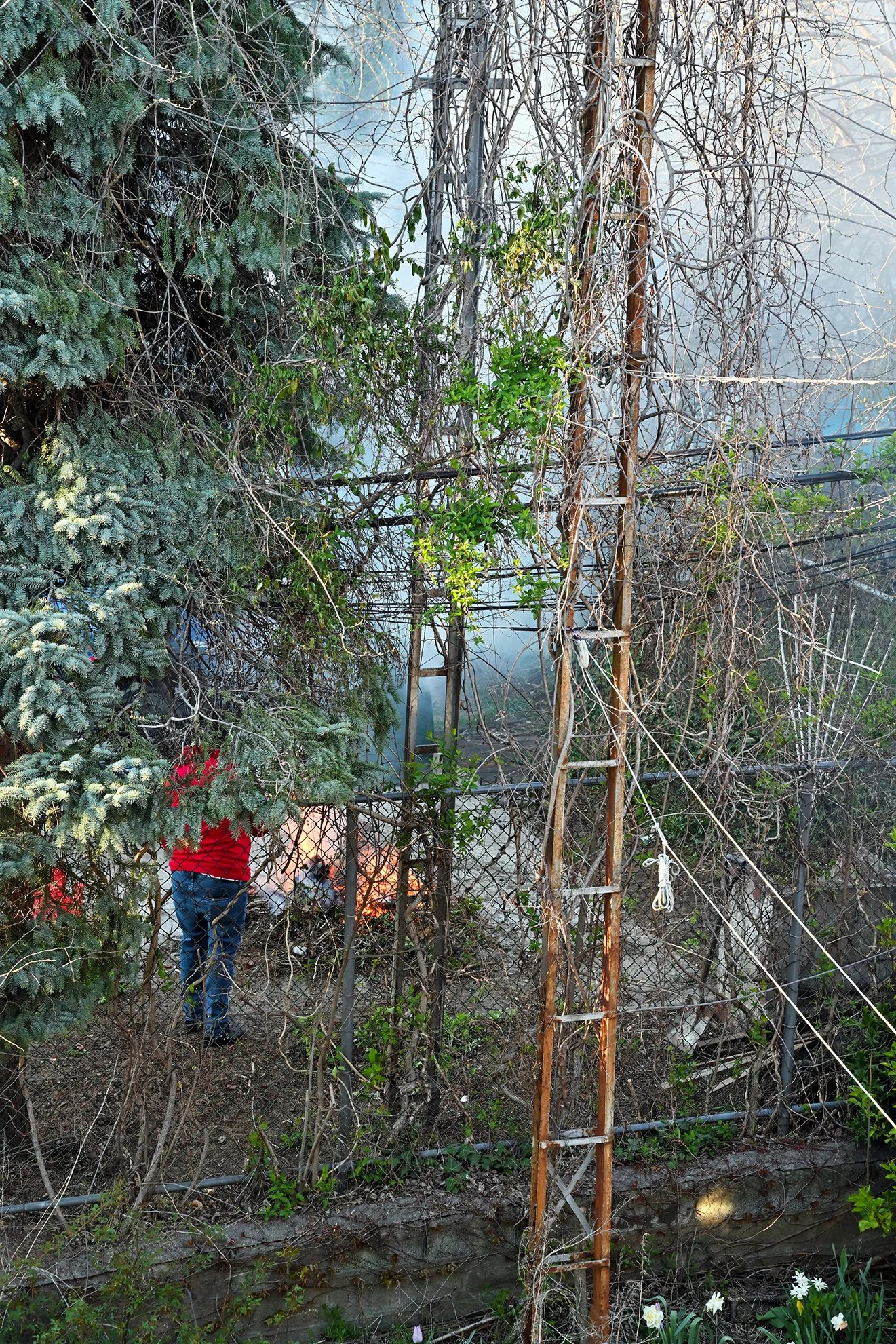 fire_backyard_b_1F72.jpg